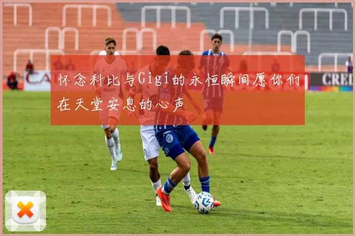 怀念科比与Gigi的永恒瞬间愿你们在天堂安息的心声