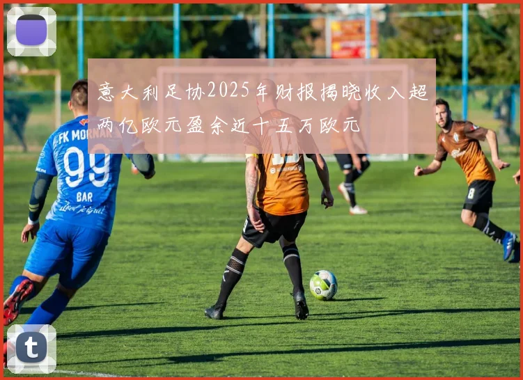 意大利足协2025年财报揭晓收入超两亿欧元盈余近十五万欧元